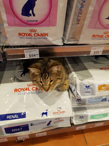 Greencross Vets Glen Eira - Thumbnail