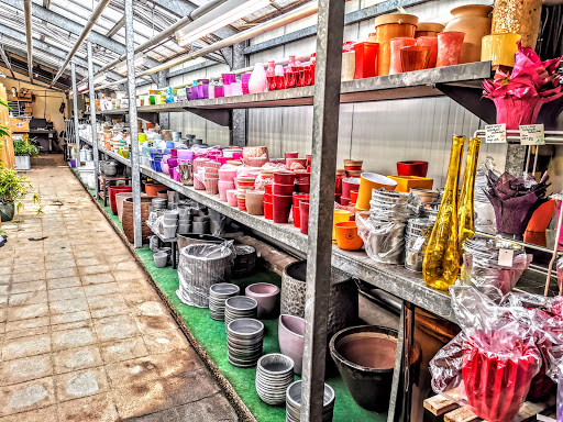 Aktuelles Blumen und Pflanzen Center Neuhann, Florist - Thumbnail