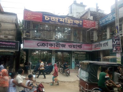 Photos of Chandro Mollika