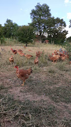 Photo n°2 de Moulis Isabelle à Noilhan (Agriculteur)