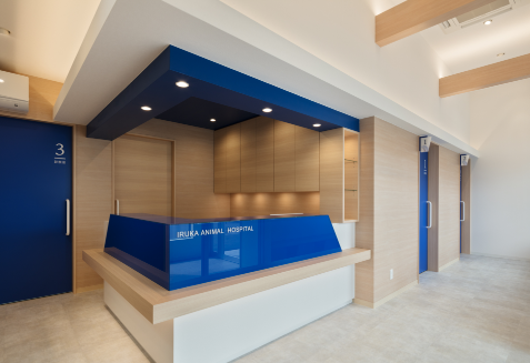 イルカ動物病院