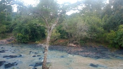Photos of Kipkaren River Resort