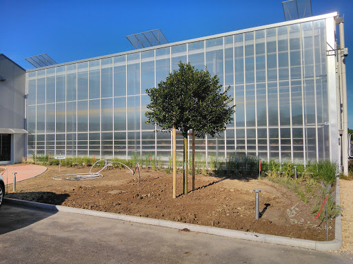 FRI-EL Greenhouse - Thumbnail