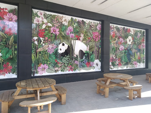 Princesshay - Visual
