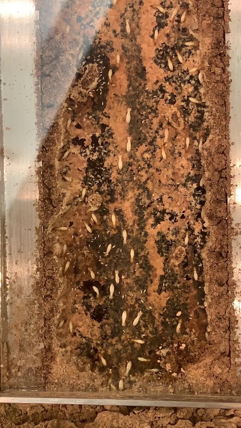 株式会社 ホリニシ