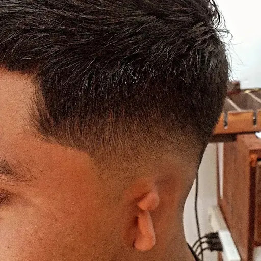 Krakenbarberia