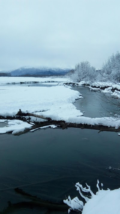 Chilkat River