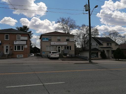 Ali Ehsassi Office - Visual