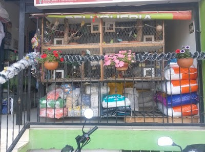 Photos of Tienda De Mascotas Gos&eacute;n