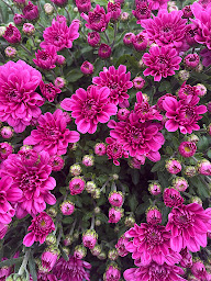 Photo n°29 de Bricomarché Contrexéville à Contrexéville (Magasin de poêles à bois)