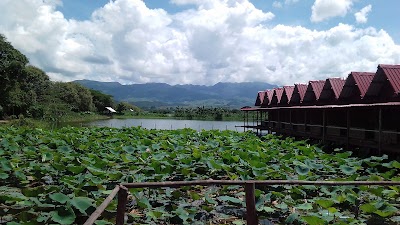 Photos of Nadi Hlaing