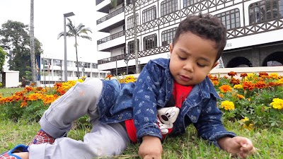 Photos of DINAMICA VIAGENS