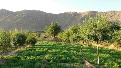 Madrasa Dahmarda