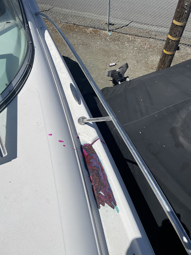 Rich's Mobile Detailing