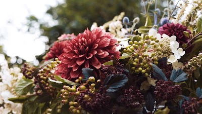 BeeHaven Flower Farm