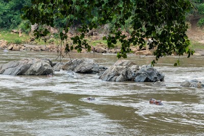 Photos of Majete Wildlife Reserve and African Parks Head Quarters