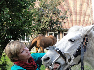 Photo n°1 de Véronique QUENSON - eurl Equine Dentisterie à Brebières (Dentiste)