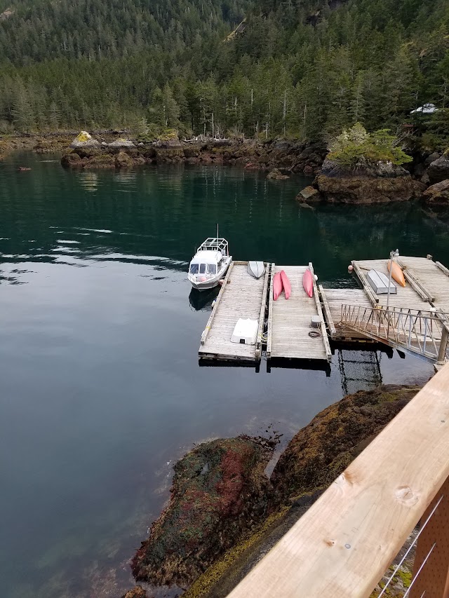 Orca Island Cabins