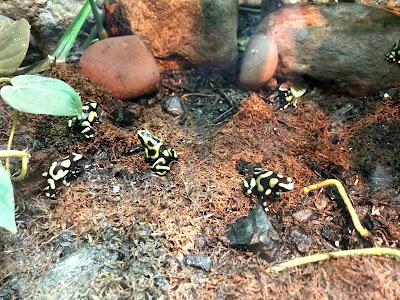 Photos of Aquarium Medellin
