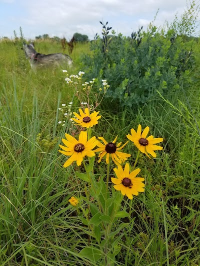 Prairie Park Fishery