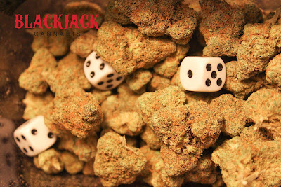 Photo of Blackjack Cannabis