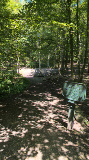 Clamart Woods - Thumbnail