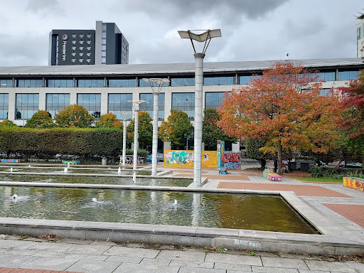Callaghan Square - Visual