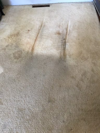 Bates Carpet Cleaning - Thumbnail