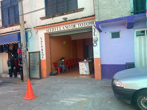 Sitio De Taxis Llano De Totomoxtle S.A - Thumbnail