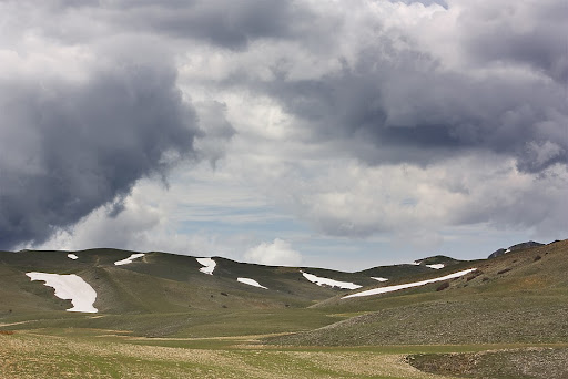 Campos de Hernán Perea