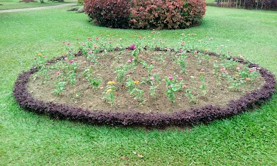 Photos of Royal Botanical Gardens