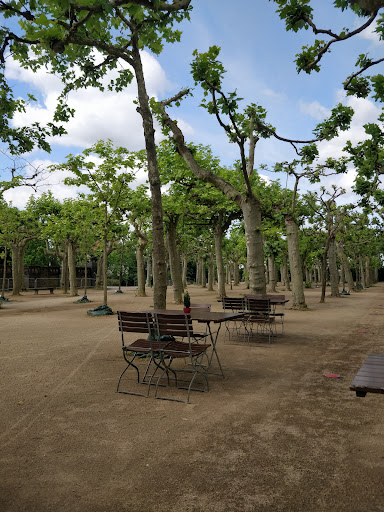 Platanenhain - Visual