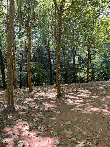 Prat Rodó - Visual