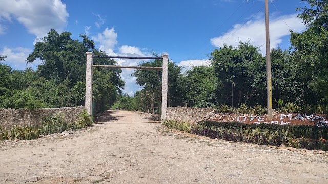 Cenote Maya Native Park