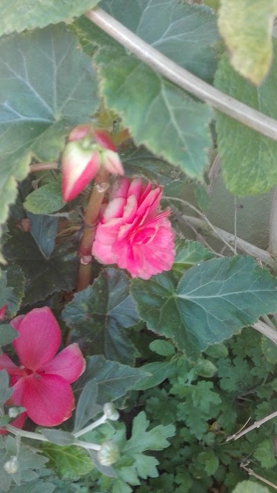 Photos of Planta procesadora de caf&eacute;