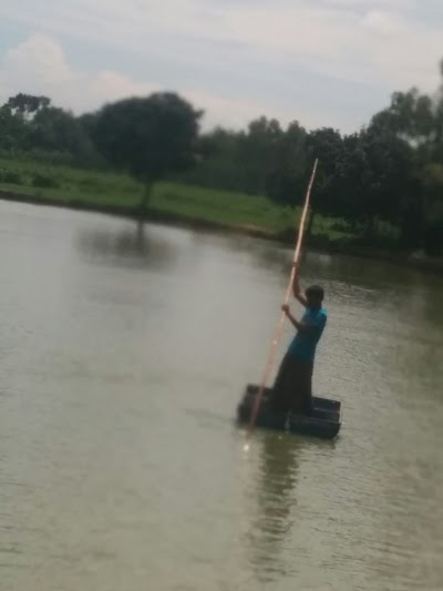 Photos of তুলানেৱ ৰিল