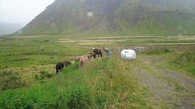Photos of Sundlaug Bolungarv&iacute;kur - &Aacute;rb&aelig;r