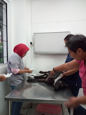 Animal Clinic Jakarta, Author: Aditya Wardhana