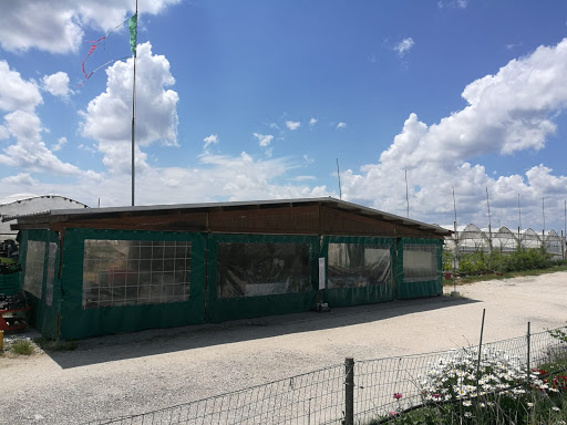 Alle Serre, Az. Agricola Schincaglia - Thumbnail
