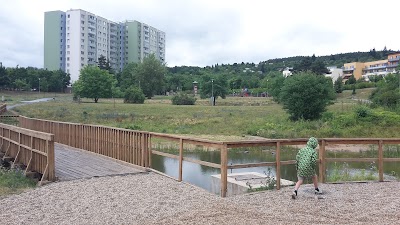 Photos of Under Sail park