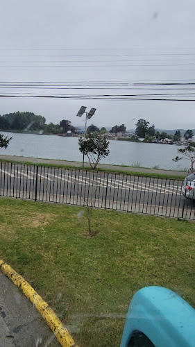 Comentarios y opiniones de Terminal de Buses Valdivia