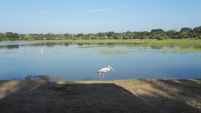 Photos of Kumana National Park