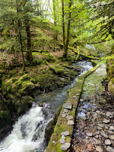 Ffynone Waterfall - Thumbnail
