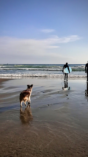 Cannon Beach Access - Visual