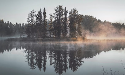 Ever Forward Therapy