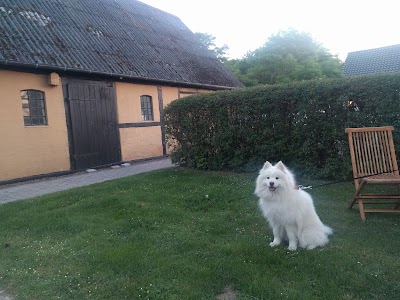 Photos of Dyrlev Bed & Breakfast