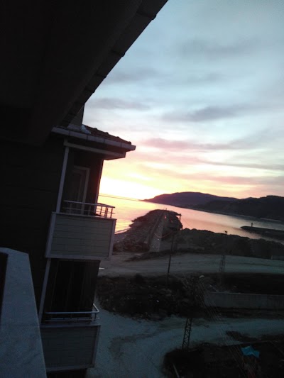 Photos of Palanın Yeri