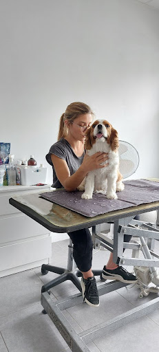 Jeanne Thoulouze ostéo/bien être animal Gallery - France