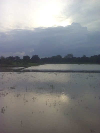 Photos of Rajbari Bazar