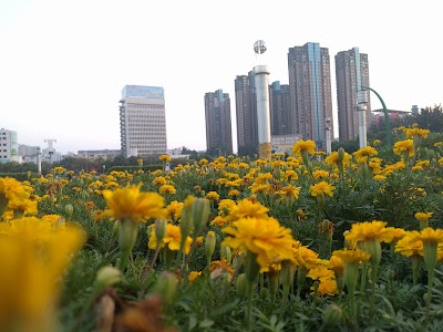 Photos of Muye Park